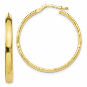 10k Yellow Gold Polished Hoop Earrings