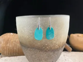 Blue Howlite Silver Earrings