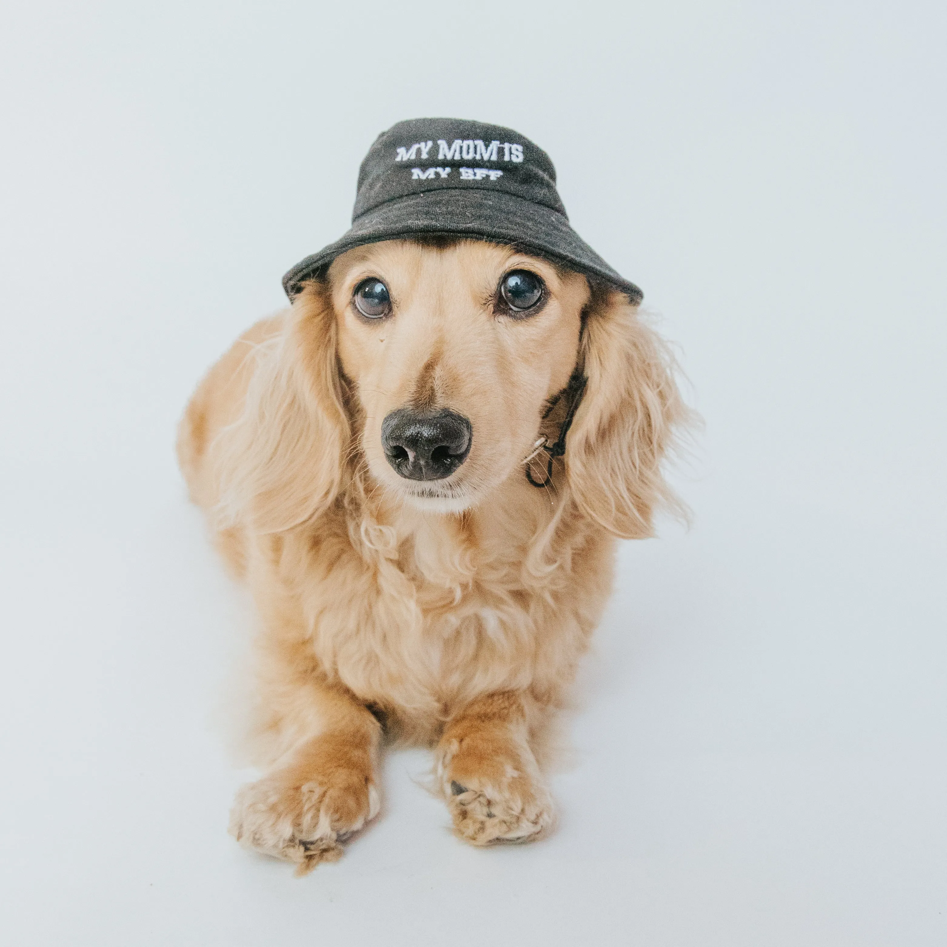 Dog Bucket Hat - My Mom is my BFF