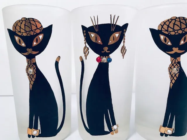 Maida Armour Siamese Hipster Cat Highball Glasses (Set of 6)